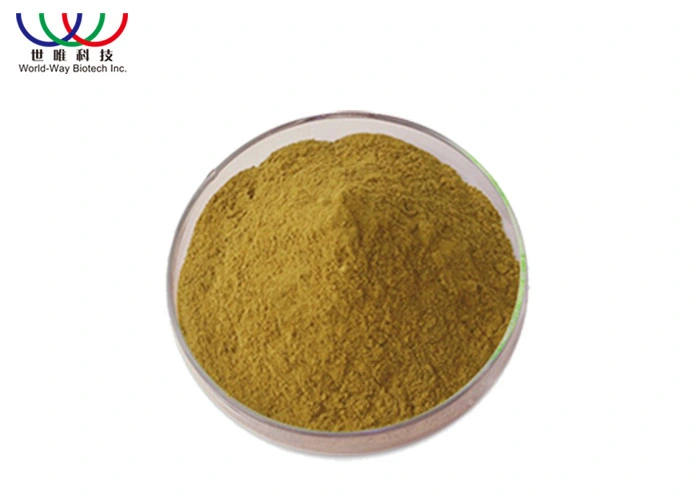 Fssc Manufacturer for Tongkat Ali Extract Eurycomanone