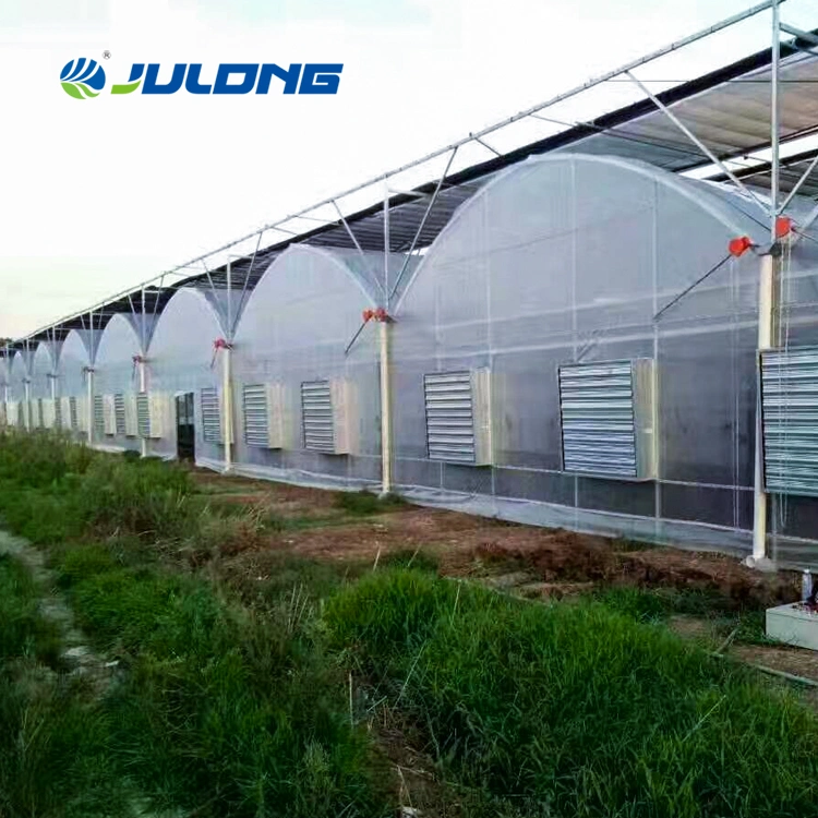 Túnel agrícola Hidroponia legumes crescentes Multi-Span Green House