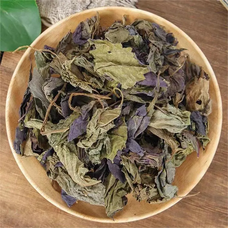 Wholesale/Supplier Perilla Leaf Traditional Chinese Herbal Medicine Natutal Dried Perillae Folium