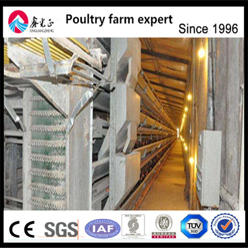 Factory Supply High quality/High cost performance  Poultry Farm Equipment Chiken Battery Layer Cage for Poulty Farm