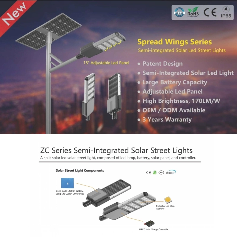 Shenzhen Professional IP67 40W de energía La energía solar separado de la calle Modular Jardín Lámpara de LED 170lm/W