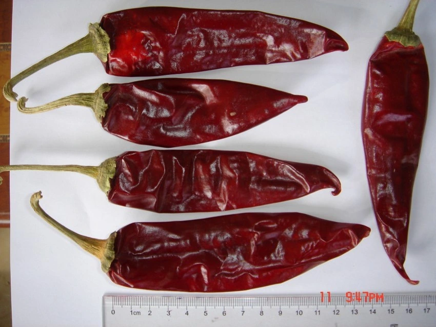 Best Quality Dry Red Chilli