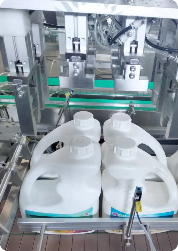 Automatic Carton Tray Packer for Agro, Chemicals, Veterinary Medicine