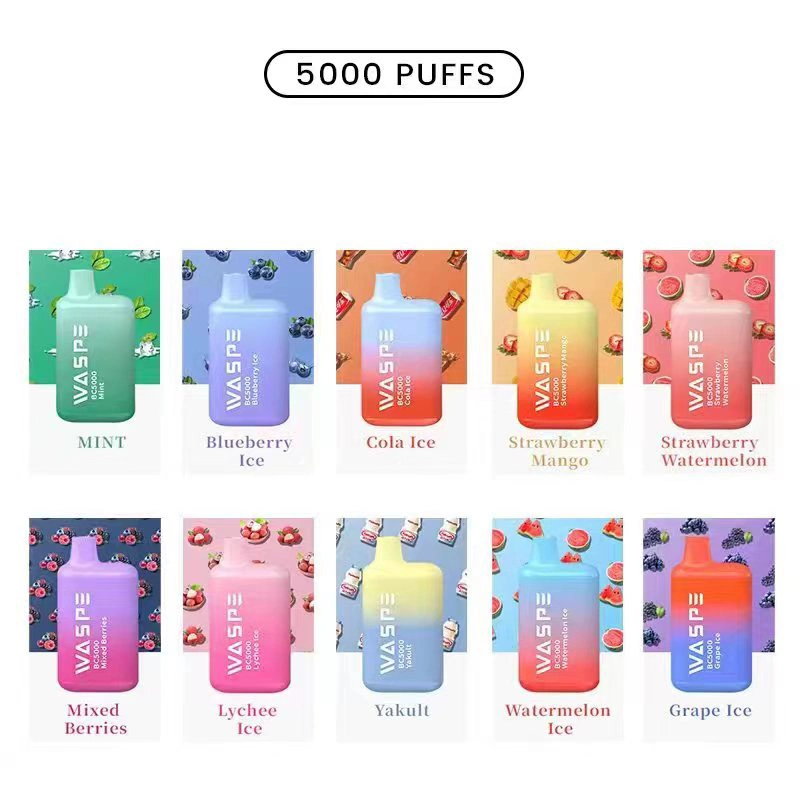 Shenzhen 5000 puffs 5% nicotina Sal e cigarro puff Bar Vaper preço Vep Electric e Liquid Pod Mini-cigarro descartável