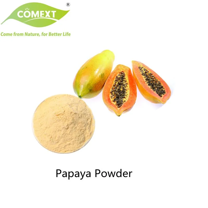 Comext Hersteller Hilfe Verdauung Food Grade Food Additive Papaya Frucht Pulver