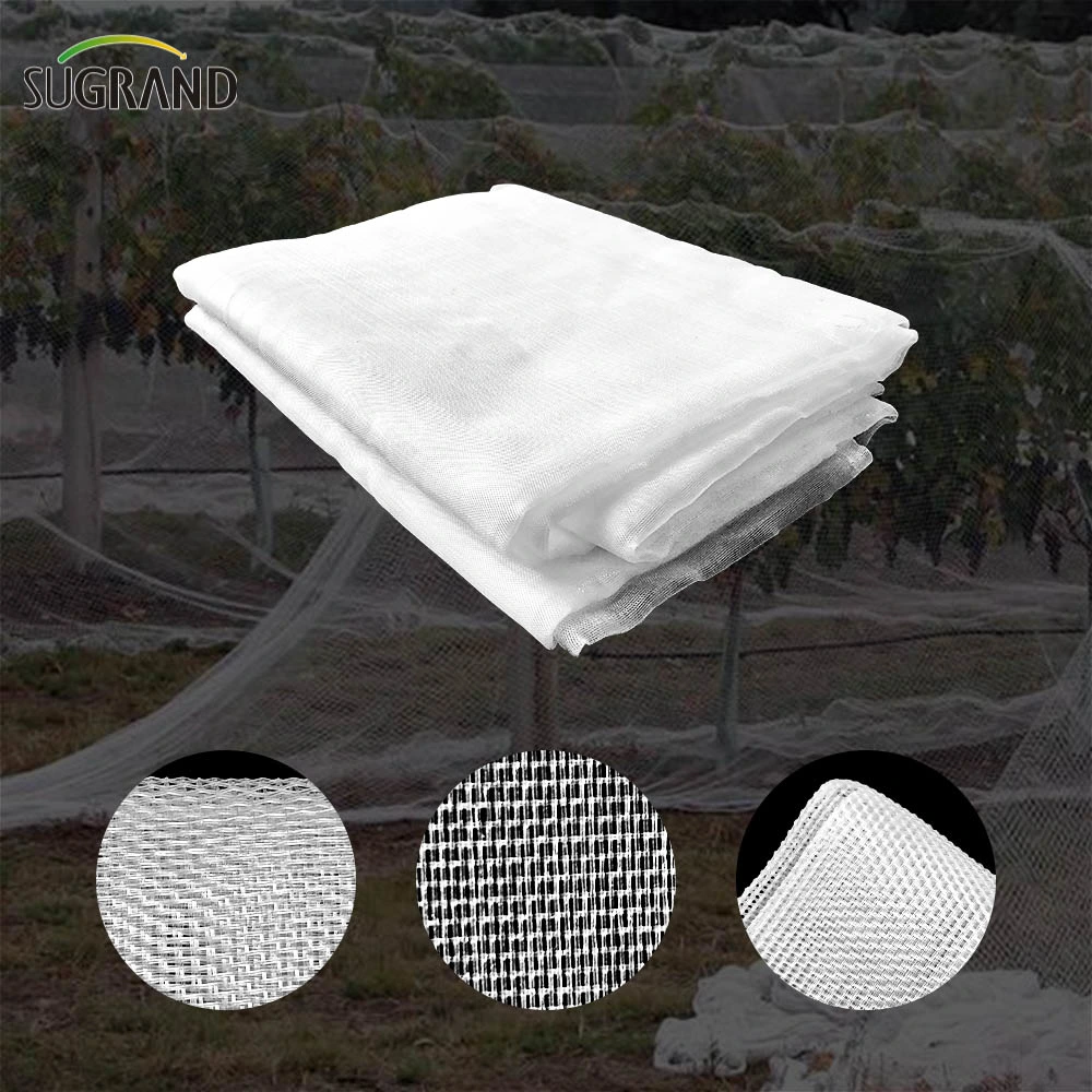 Retractable 100GSM Insect Net 40 Mesh in Vegetable Garden