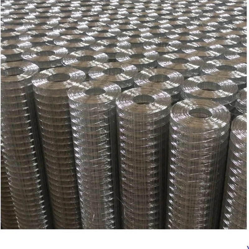 Galvanized Welded Wire Mesh Welded Wire Mesh Factory Direct Selling