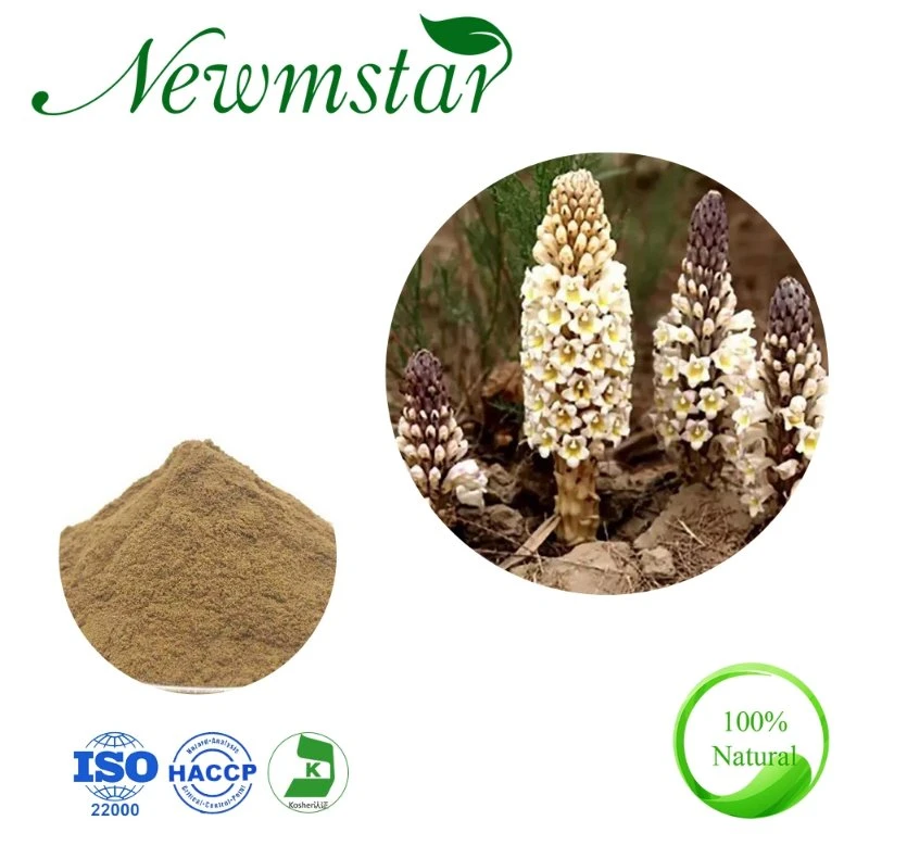 100% Natural Plant Extract Cistanche Tubulosa Extract/ Cistanche Deserticola Extract