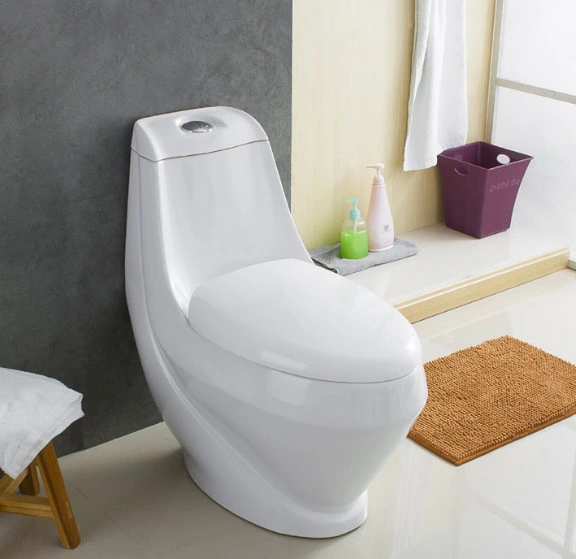 Sairi Venda quente lavagem dupla moderno WC WC Medidas Sanitárias