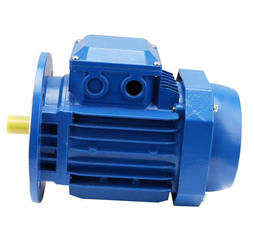 2p 4p 6p 8p Low Noise AC Induction Motor for Power Transmission