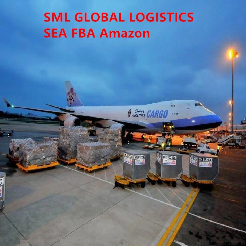 Agent d'exportation DDP Sea Shipping Air Freight Forwarder vers Estonie/Ethiopie/Faeroe Îles Fidji/Finlande/France FedEx/UPS/TNT/DHL Express Tarifs Logistique