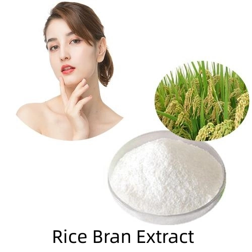 Factory Price Rice Bran Extract with High Purity