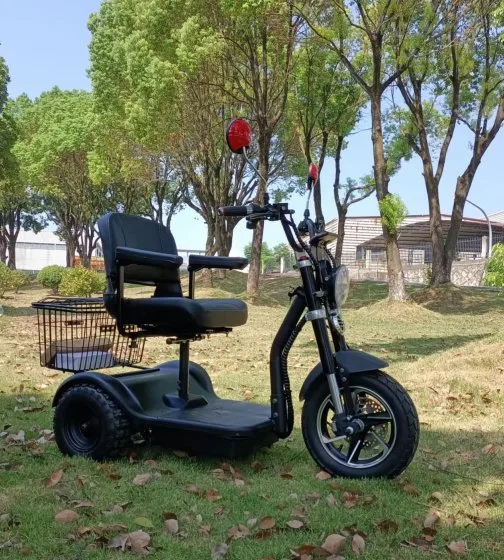 Nouveau design trois roues moteur différentiel 500 W powered scooter Trike de mobilité