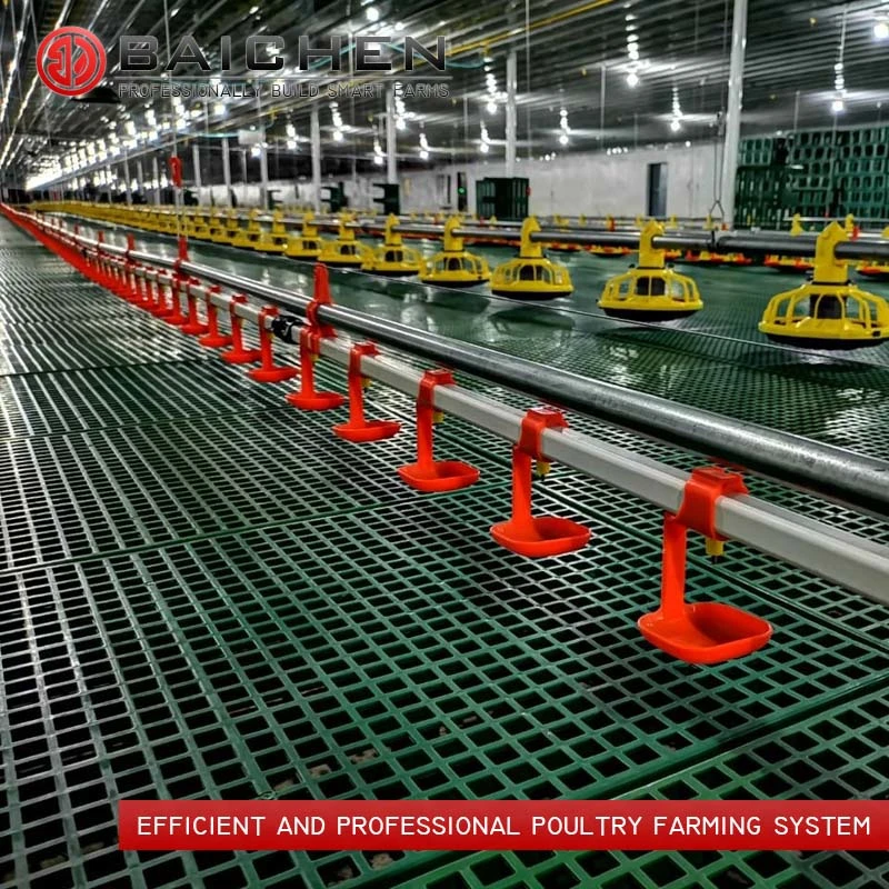 Chicken Raising Equipment Broiler Floor Raising System