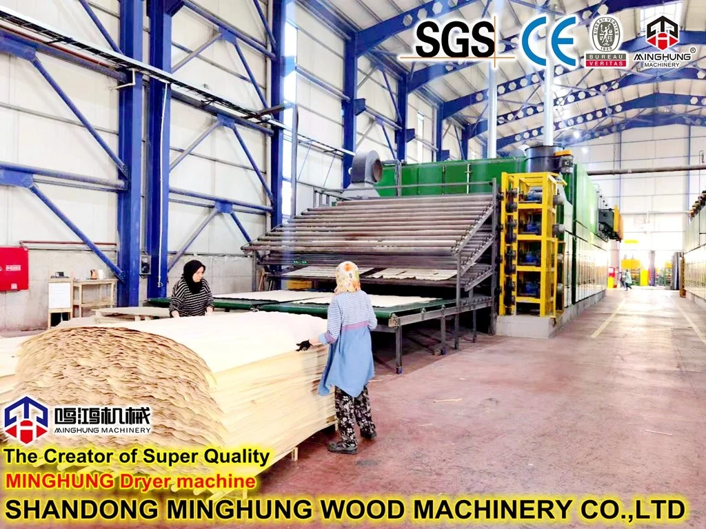 Birch Roller Veneer Dryer Machine for Woodworking Plywood Machine