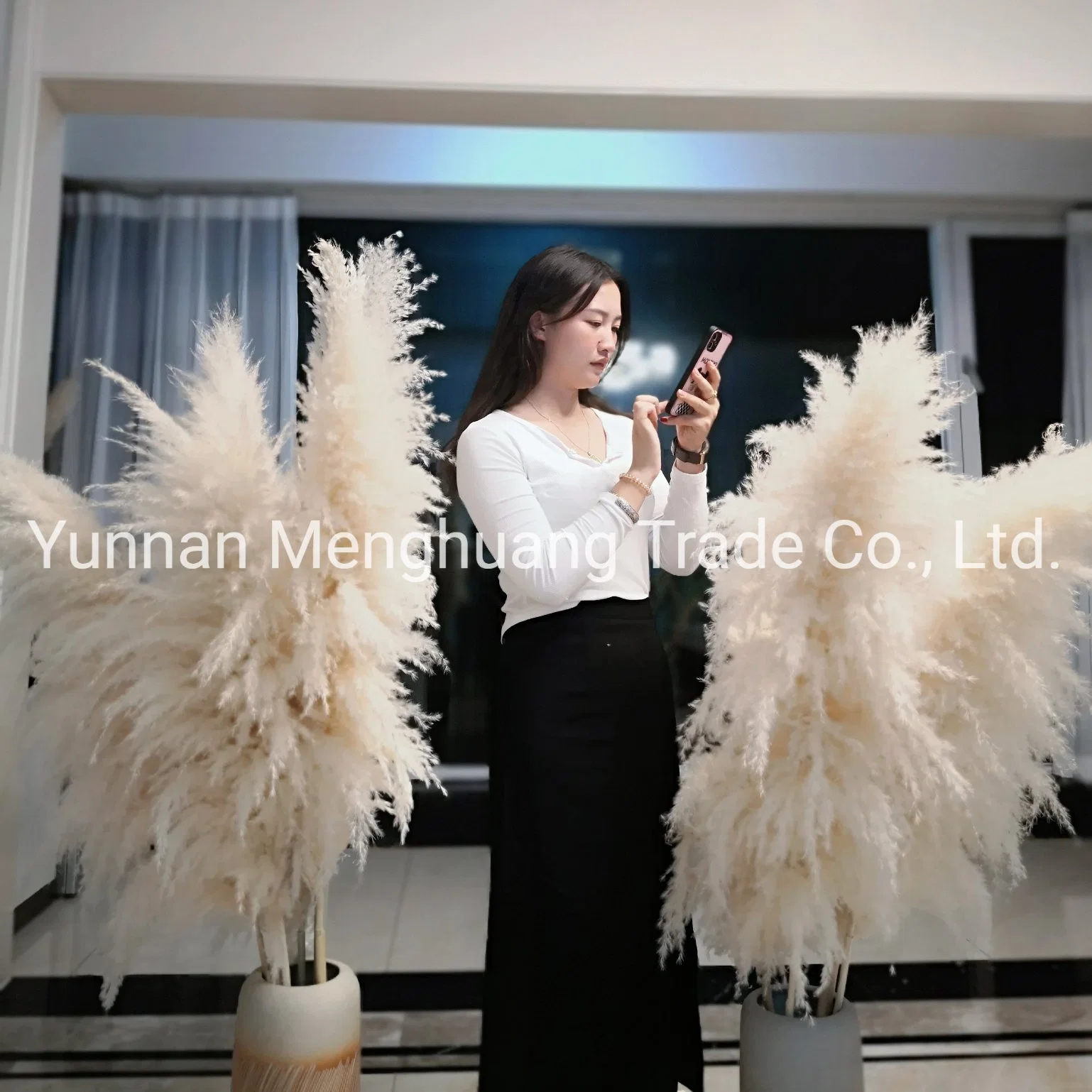 Wholesale/Supplier Boho Wedding Decor Large Plume Dry Pampas Grass Flower Decor Natural Real Preserved Dried Pampas Grass for Amazon Hot Sale