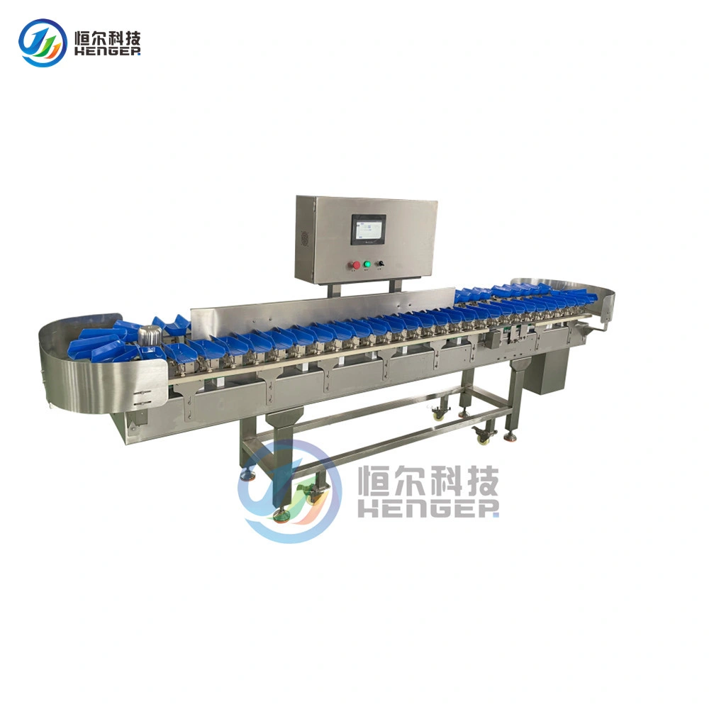 Professional Specialized Factorial Belt Conveyor Scale