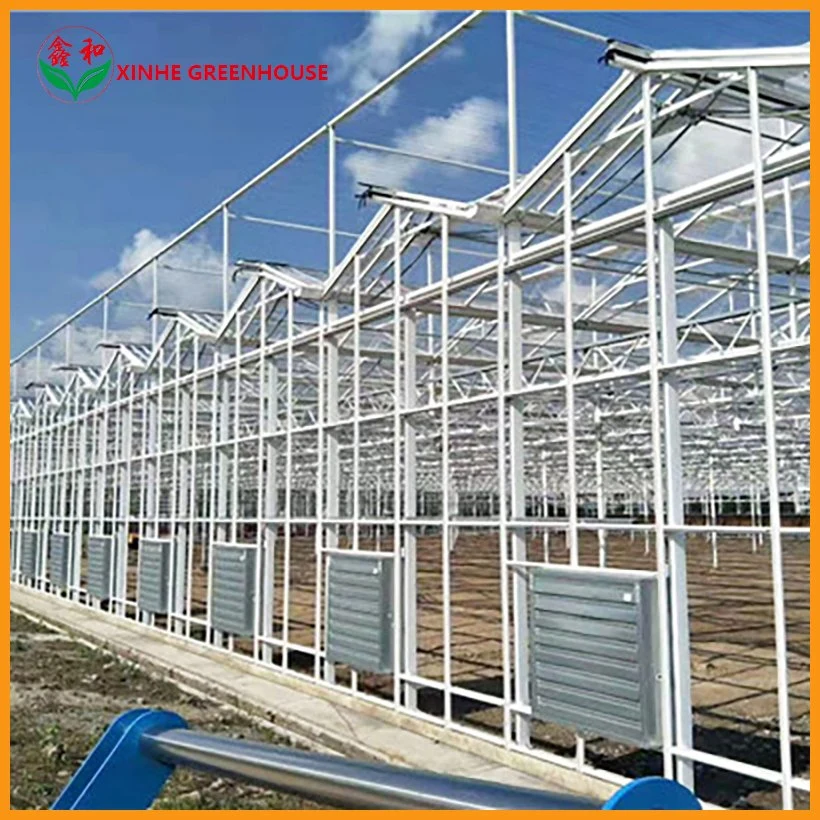 Single Span Glass Greenhouse for Experiment Hydroponic Growing System
