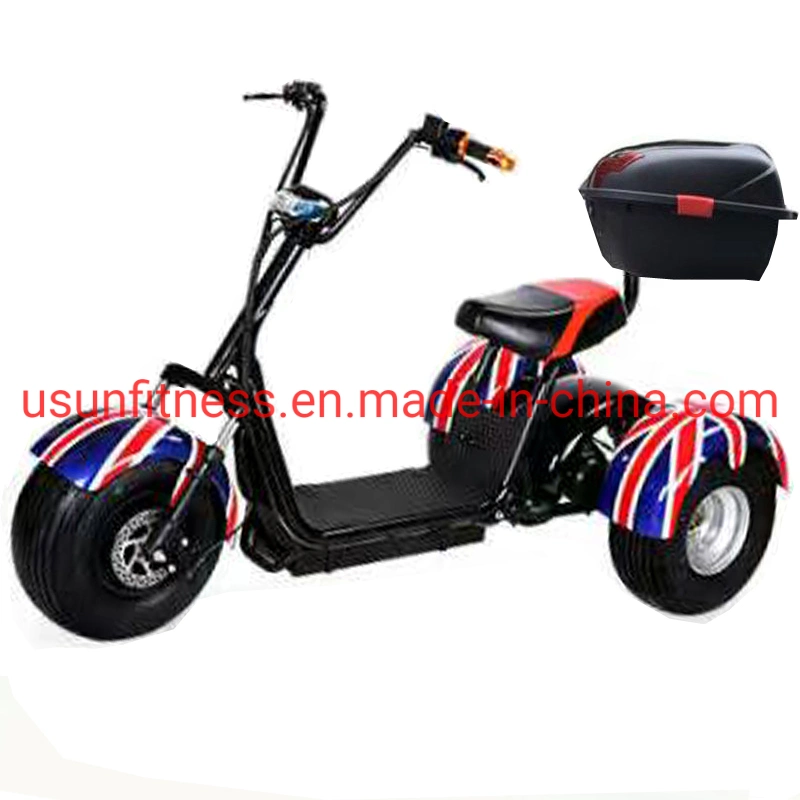 3 rodas Fat Tire City Coco Electric scooter e Motor Bike com CE