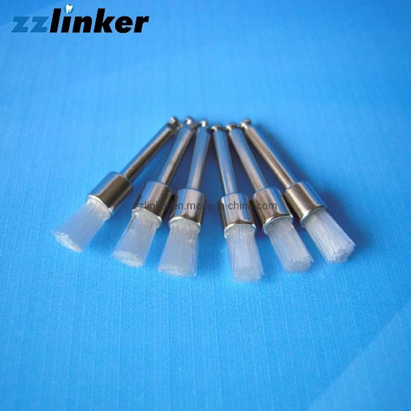 Lk-P41 Nylon Material Dental Polishing Prophy Brush Price