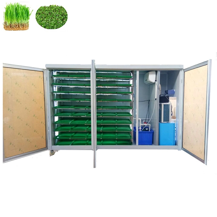 The Most Popular Hydroponic Germination System For Fodder