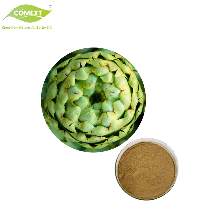 100% Pure Natural Plant Extract Cynara Scolymus Extract Cynarin Artichoke Powder