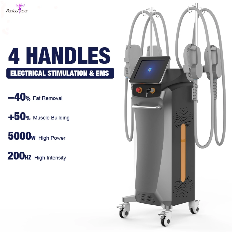 CE Weight Loss Body Shaping Slimming Electromagnetic Sculpting EMS
