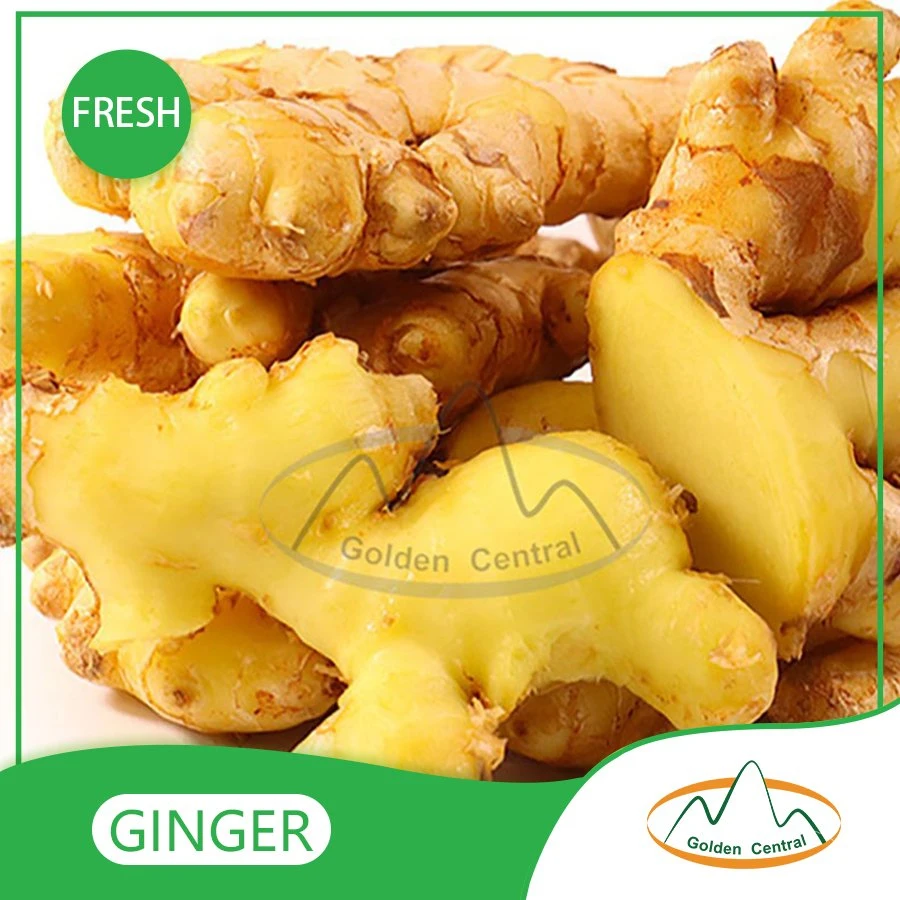 Hot Selling Wholesale Fresh Ginger and Garlic