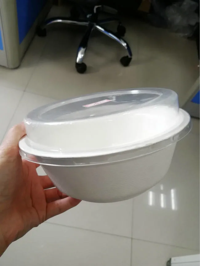 Factory 7 Inch Compostable Disposable Biodegradable Sugarcane Bagasse