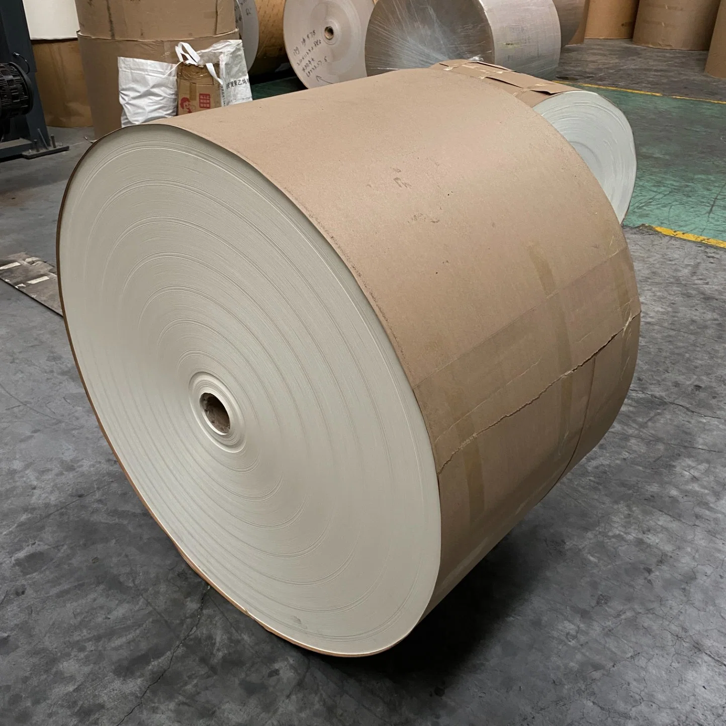 PLA Coated White Coated Cardboard Paper for Packaging and Industry