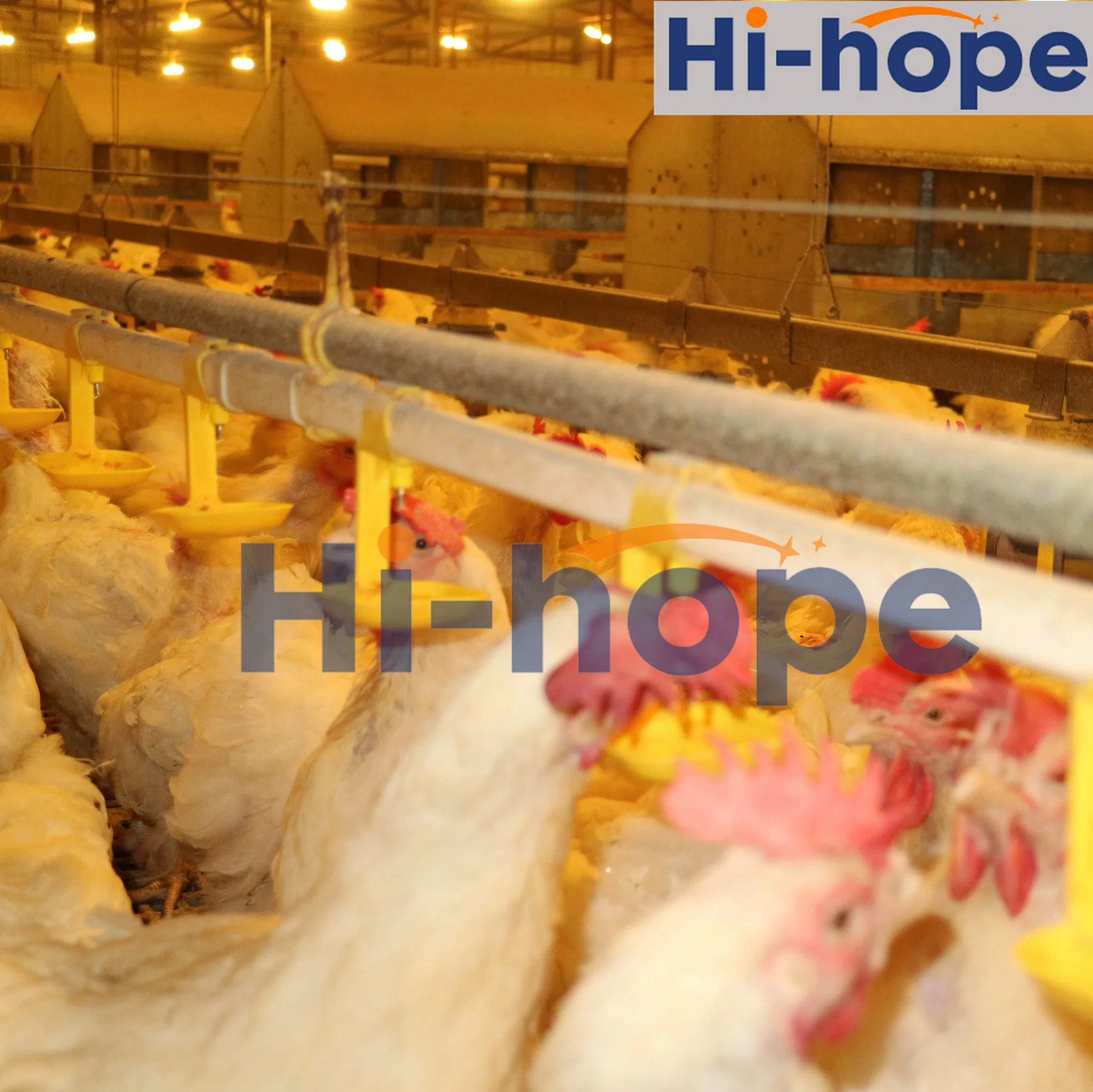 Automatic Chicken Nipple Drinker Broiler Waterer Drinking System