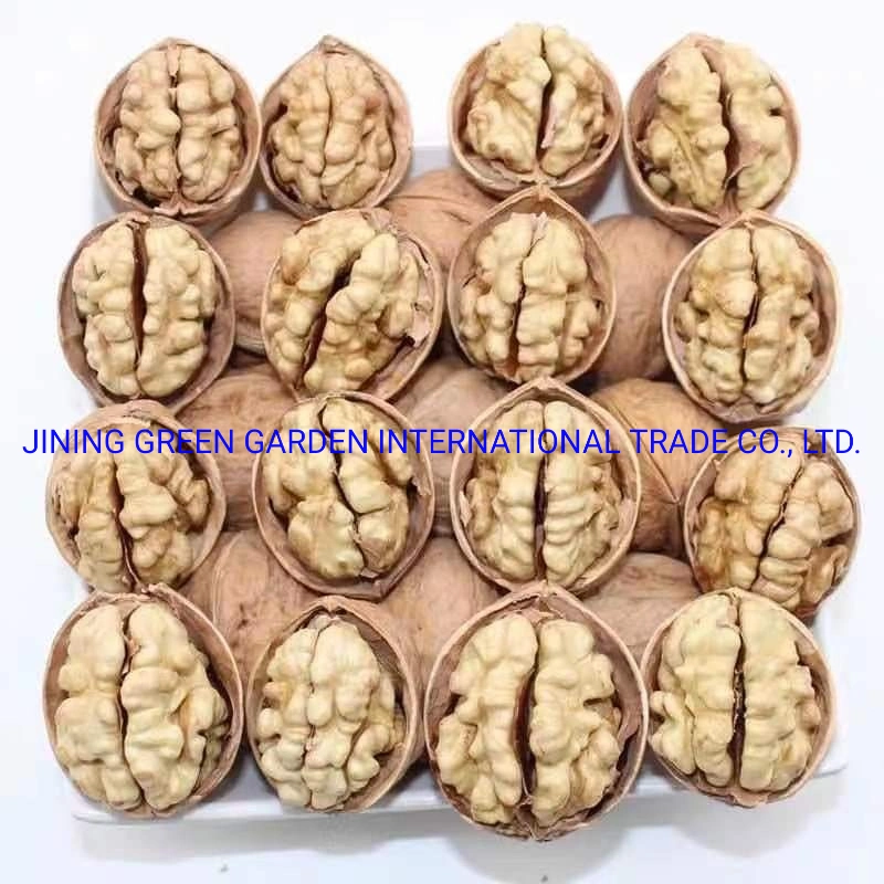 New Crop Xinjiang185 Extra Lh Walnut Kernels 90% up, Manufacture Supply Organic Walnut Kernel