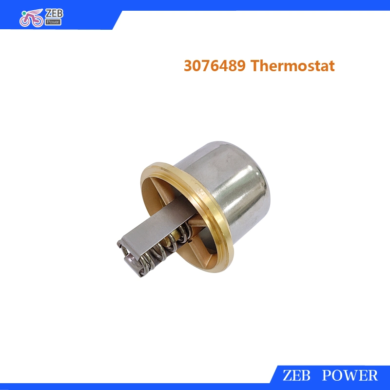 Thermostat 3076489 for Engines L10, M11, N14 Kta19, Kta38, Kta50 and Qsk19