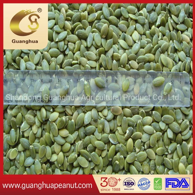 Hot Sale Shine Skin Pumpkin Seed Kernels