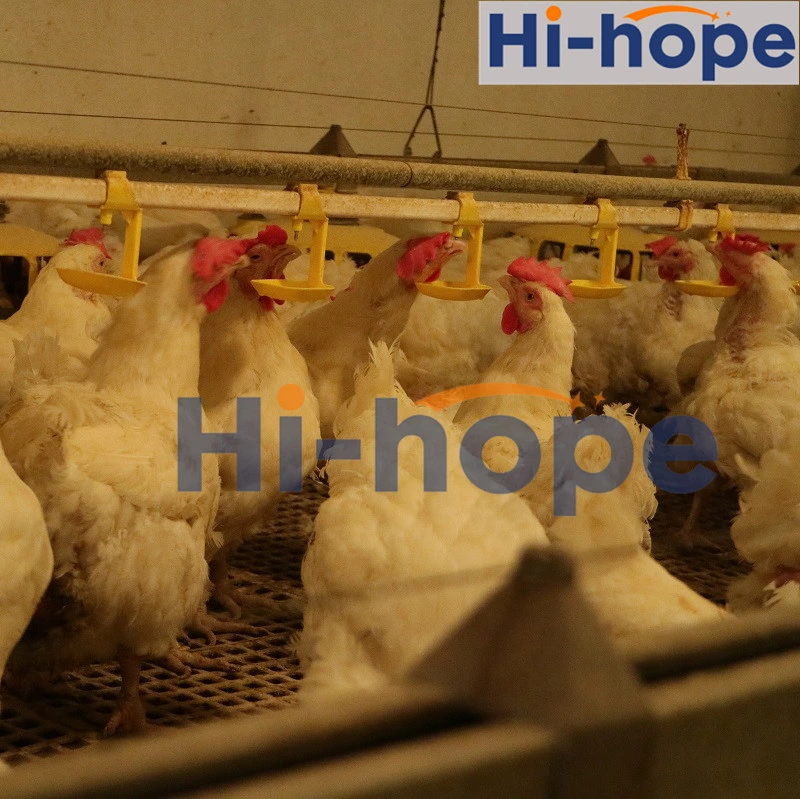 Hi-Hope Nipple Automatic Chicken Farm Drinking System