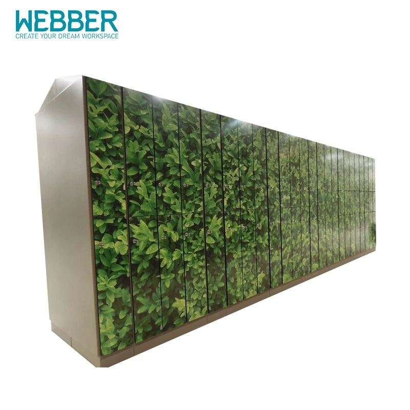 China New Webber Cartons ISO9001: 2000, ISO14001: 2004 Supermarket Locker Furniture