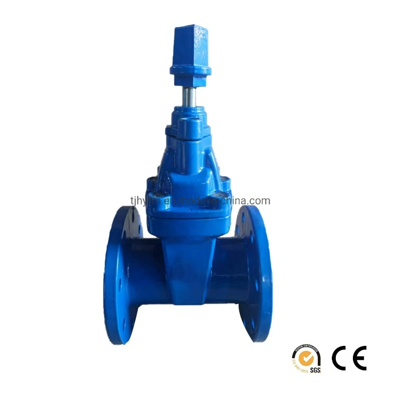 Hydraulics ANSI High quality/High cost performance Audited Supplier Resilient Gate Valve