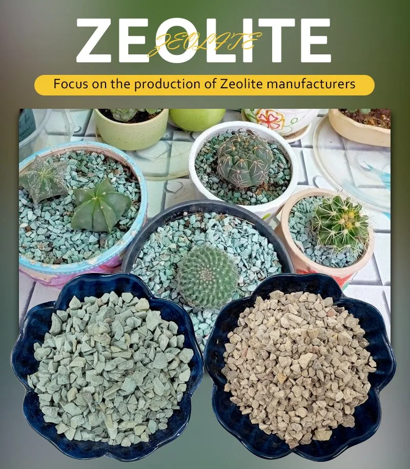 مسحوق زيوليت طبيعي Clinoptilolite من نوع Natural Zeolite للزراعة