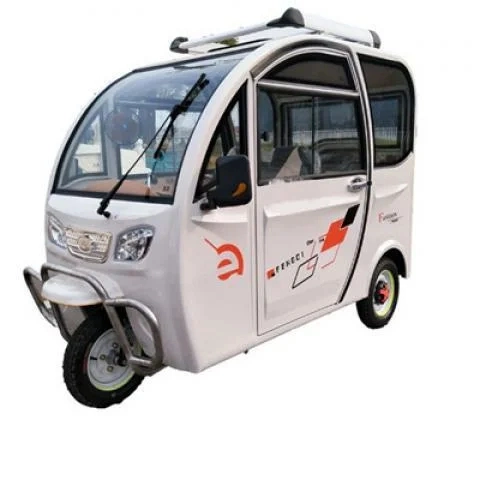 2000W Power Erwachsene 3 Rad Elektro-Dreirad Günstige E-Trikes 3 Rad Cargo Elektro Dreiräder Motorrad