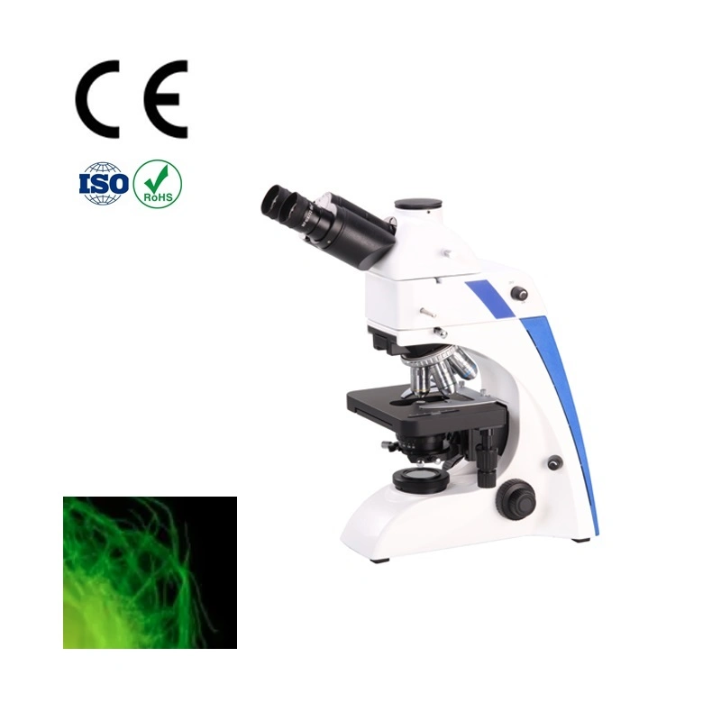 Hilera de trefilado de inspeccionar microscopio binocular Microscopio de fluorescencia de imágenes para microscopios de fibra