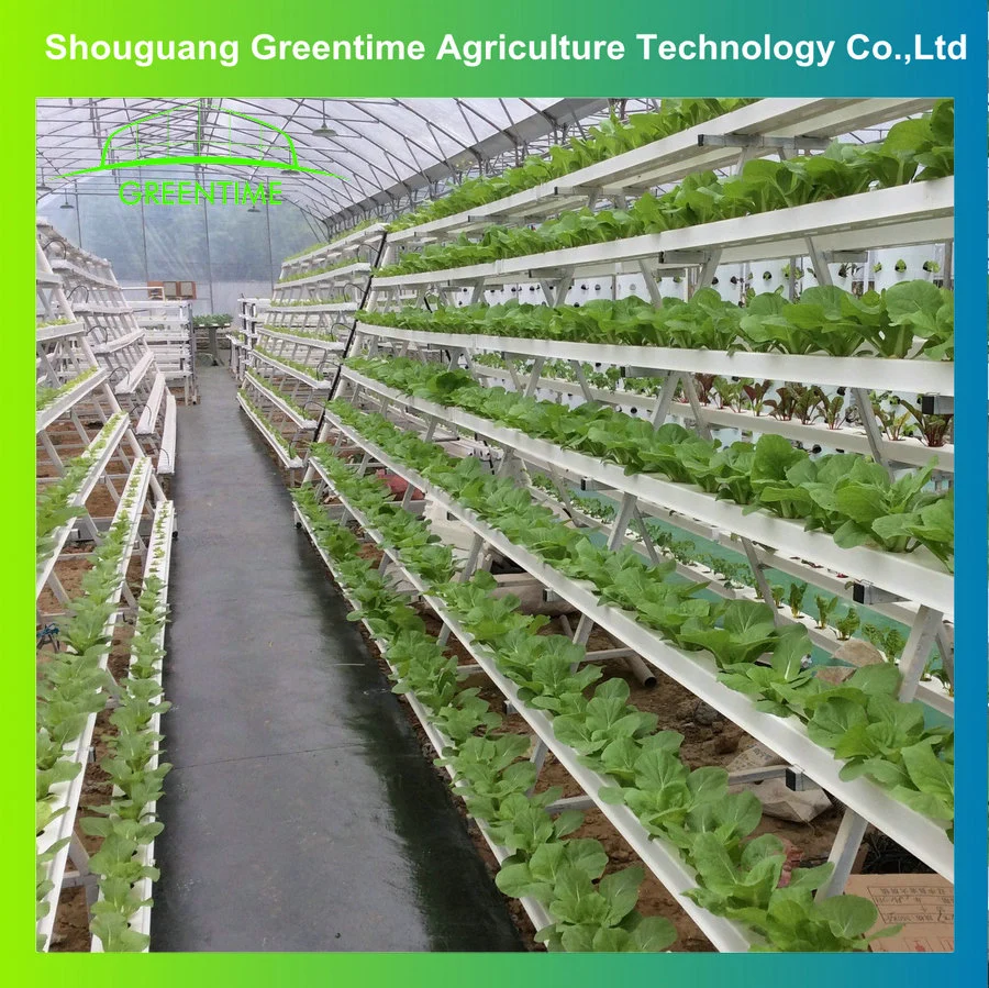 Greenhouse Hydroponics Grow System with Nft Hydroponics Channel