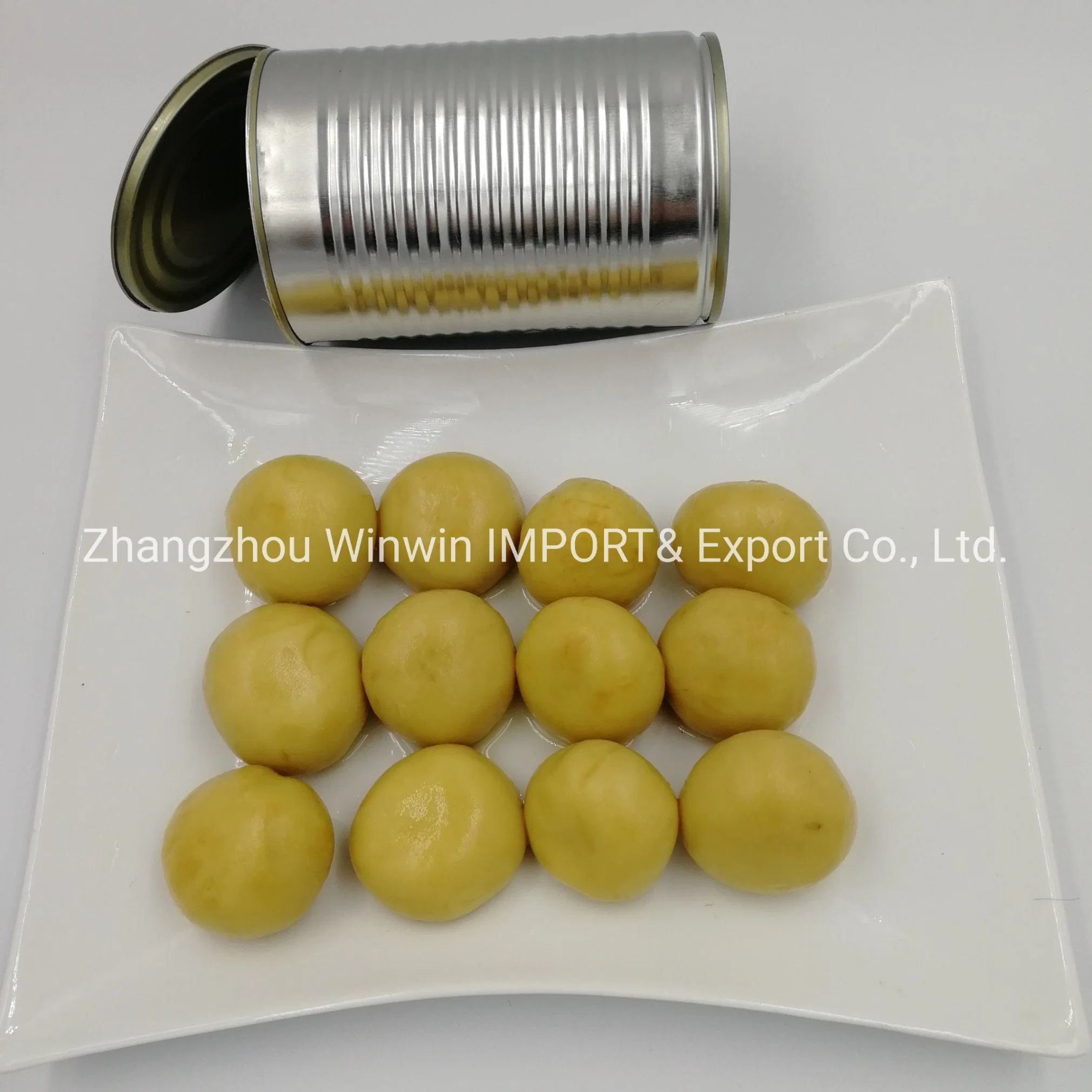 Chinese Top Quality Best Price Canned Mushroom Whole and Sliced