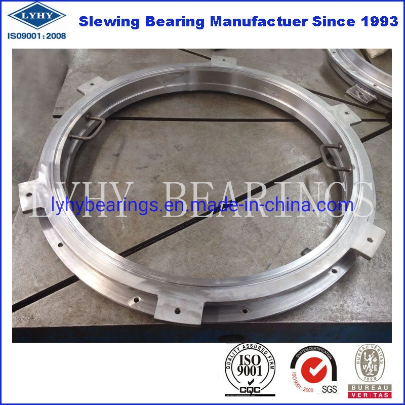 External Gear Slewing Ring Bearing Slewing Gear for City Crane 1787/800g2