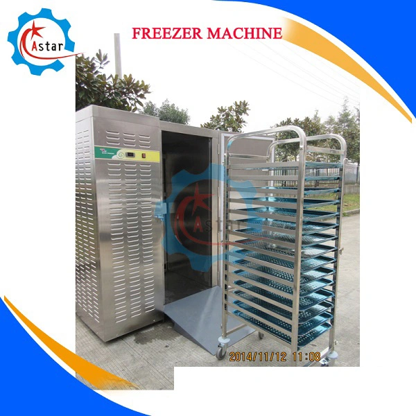 El uso comercial blast freezer para la venta