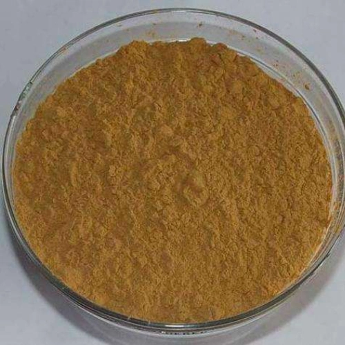 Factory Direct Supply Mushroom Extract Polysaccharides10%-50% Antrodia Camphorata Extract