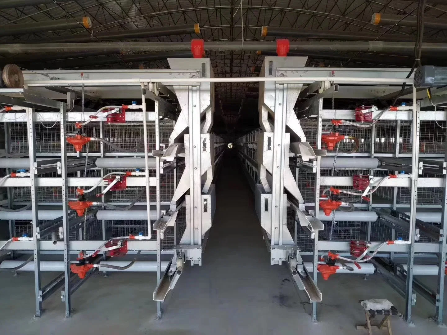 Máquinas de gado Equipamento de fazenda de aves gaiolas de alimentação automática para frangos de corte