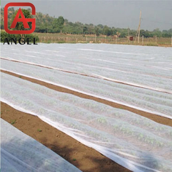 Hot Sale PP Spunbonded Nonwoven Fabric for Weed Agriculture Control Mat