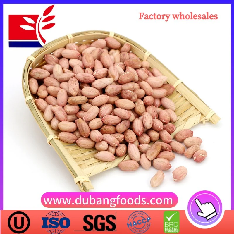 Peanut Kernels Long Shape From China Food