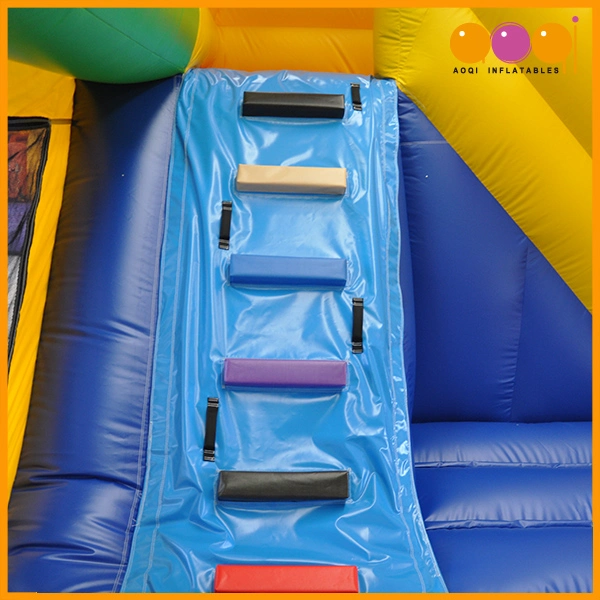 Best Selling Big Mouth Puppy Inflatable Combo with Slide for Kids (AQ1324-6)