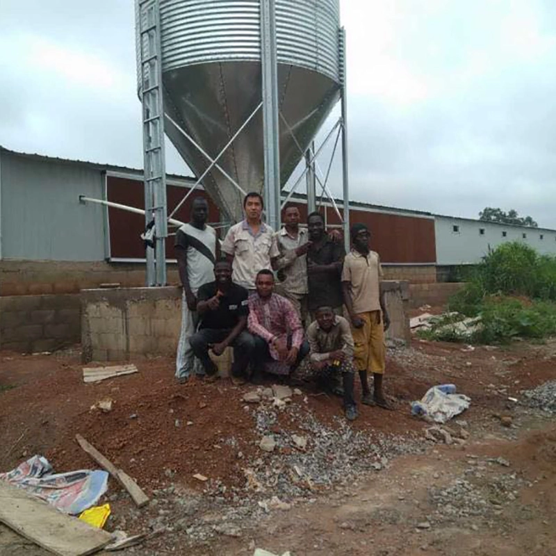 Prefabricated Assembled Steel Structure Poultry Chicken Breeding House Building